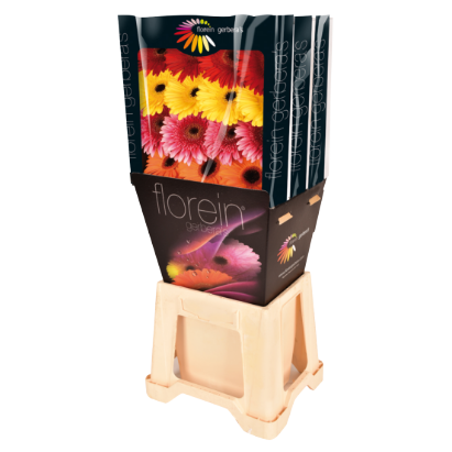 Gerbara Diamond | Florein Gerbera's