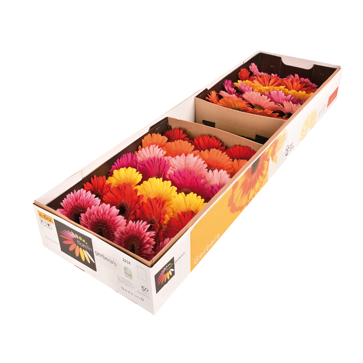 Gerbera doos | Florein Gerbera's