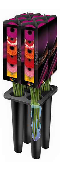 GerberAquabox ® | Vensters | Florein Gerbera's GerberAquabox ® | Vensters | Florein Gerbera's