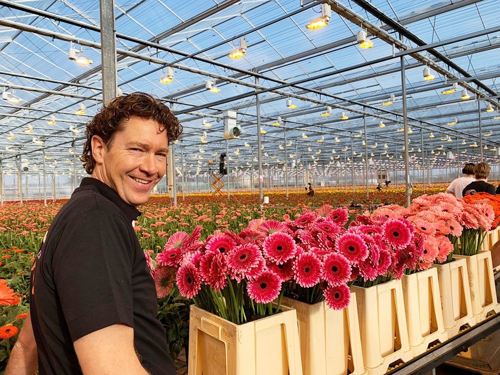 Reinier in de kas | Florein Gerberas