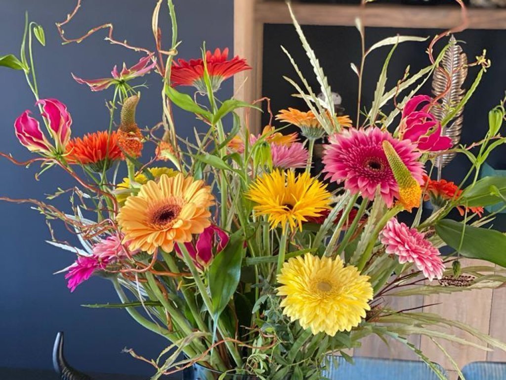 Hoe moet u uw gerbera's verzorgen? | Florein Gerbera's