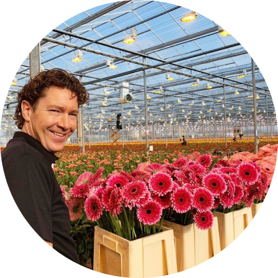 Meer over Florein Gerbera kwekerij | Florein Gerbera's
