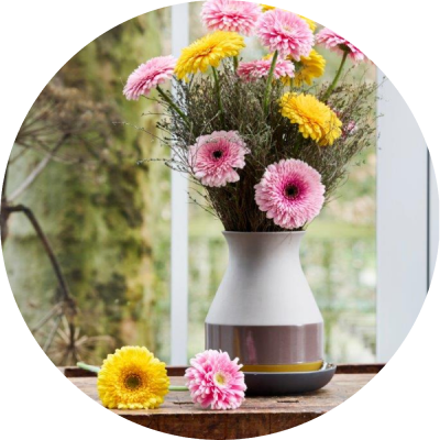 Waar bestaat een gerbera boeket uit? | Florein Gerbera's