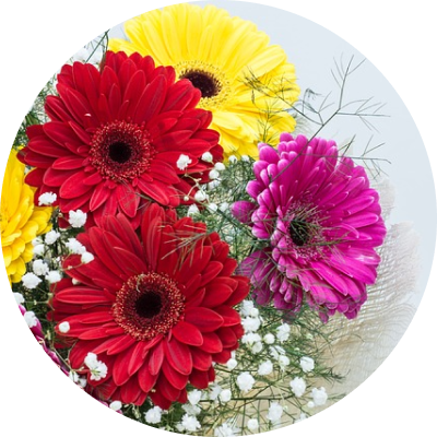 Een mooie mix gerbera’s in een boeket | Florein Gerbera's