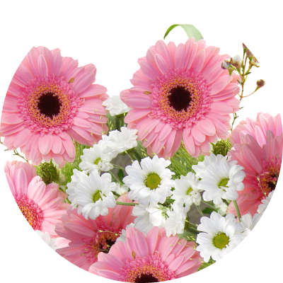 Gerbera boeket bestellen bij Florein | Florein Gerbera's