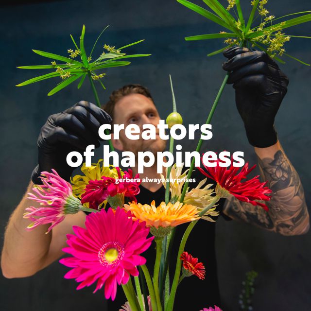 The gerbera never fails to surprise. The gerbera offers versatility in terms of colour, shape and size. These flowers are the creators of happiness.🌼  #floreingerbera #floreingerberas #gerberadaisy #gerberalover #gerberadaisies #gerberaarrangement #gerbera #gerberanursery #flowerslover #flowerpower #floweraddict #flowerstagram